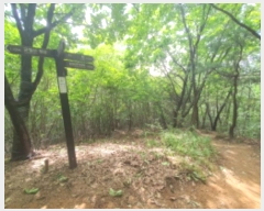  2024Ÿ62696  ֽ  63-110       (Ӿ)