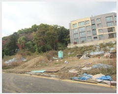  2024Ÿ67639   д籸 ߵ 337-10      (1)