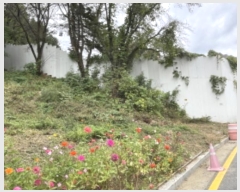  2024Ÿ67639   д籸 ߵ 337-10      (1)