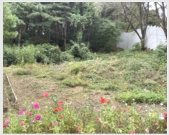  2024Ÿ67639   д籸 ߵ 337-10      (1)