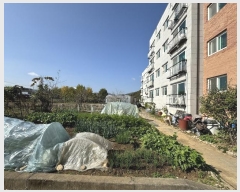  2024Ÿ��68779 ��� ���ֽ� ���̸� �������13���� 17, 1��101ȣ (ȭ������)    �ټ���,������