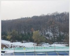  2024Ÿ70048   д籸 ߵ 106-24      (Ӿ)