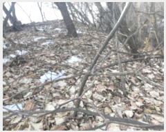  2024Ÿ70048   д籸 ߵ 106-24      (Ӿ)