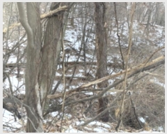  2024Ÿ70048   д籸 ߵ 106-24      (Ӿ)