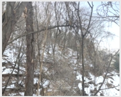  2024Ÿ70048   д籸 ߵ 106-24      (Ӿ)