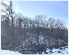  2024Ÿ70048   д籸 ߵ 106-24      (Ӿ)