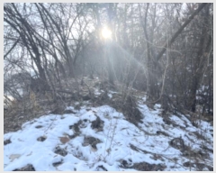  2024Ÿ70048   д籸 ߵ 106-24      (Ӿ)