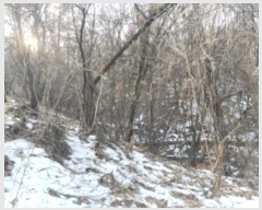  2024Ÿ70048   д籸 ߵ 106-24      (Ӿ)