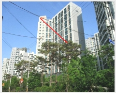  2024Ÿ2496   ߿ ݱ 40, 305 101001ȣ (ݱ,Ѽݺ׶3)   Ʈ