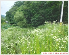  2024Ÿ��3468 ��� ���ֽ� ���ѻ꼺�� ���̸� 588      ����(��1)���