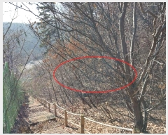  2024Ÿ��7156  �Ӿ߰��