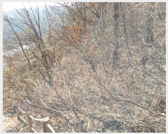  2024Ÿ��7156  �Ӿ߰��