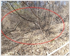  2024Ÿ��7156  �Ӿ߰��