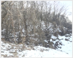  2024Ÿ��7156  �Ӿ߰��