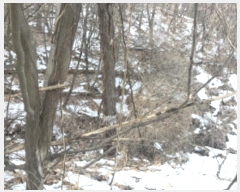  2024Ÿ��7156  �Ӿ߰��