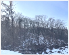  2024Ÿ��7156  �Ӿ߰��