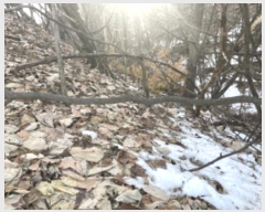  2024Ÿ��7156  �Ӿ߰��