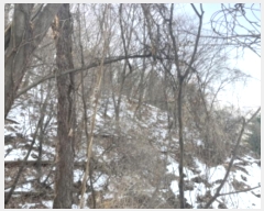  2024Ÿ��7156  �Ӿ߰��