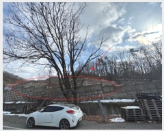  2024Ÿ��7194 ��� ���ֽ� �������� ���̸� 14-19      ����(�Ӿ�)���