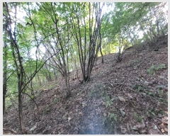  2024Ÿ5730  ֽ  ׸ 68-9      (Ӿ)