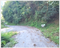  2024Ÿ5730  ֽ  ׸ 68-9      (Ӿ)