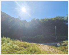  2024Ÿ5730  ֽ  ׸ 68-9      (Ӿ)