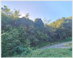  2024Ÿ5730  ֽ  ׸ 68-9      (Ӿ)