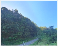  2024Ÿ5730  ֽ  ׸ 68-9      (Ӿ)