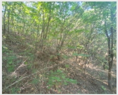  2024Ÿ5730  ֽ  ׸ 68-9      (Ӿ)