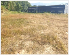  2024Ÿ6207  ֽ  ո 347-4      (1)