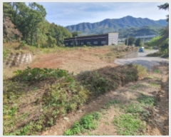  2024Ÿ6207  ֽ  ո 347-4      (1)