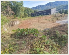  2024Ÿ6207  ֽ  ո 347-4      (1)