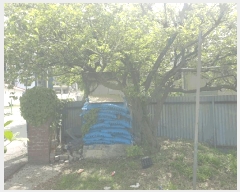  2024Ÿ6436  ֽ ѻ꼺 õ 706-6      ð