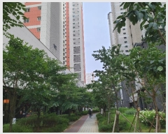  2024Ÿ��61617  �ٸ��󰡰��