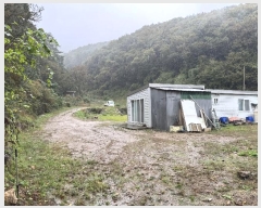  2024Ÿ��67240 ��� ���ֽ� ���̸� ������ ��65-29      ����(�Ӿ�)���