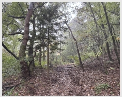  2024Ÿ��67240 ��� ���ֽ� ���̸� ������ ��65-29      ����(�Ӿ�)���