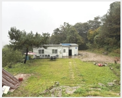  2024Ÿ��67240 ��� ���ֽ� ���̸� ������ ��65-29      ����(�Ӿ�)���