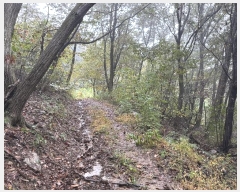  2024Ÿ��67240 ��� ���ֽ� ���̸� ������ ��65-29      ����(�Ӿ�)���