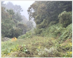  2024Ÿ��67240 ��� ���ֽ� ���̸� ������ ��65-29      ����(�Ӿ�)���