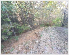  2024Ÿ��67240 ��� ���ֽ� ���̸� ������ ��65-29      ����(�Ӿ�)���