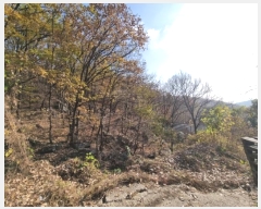  2024Ÿ69338  ֽ ź 81       (Ӿ)