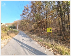  2024Ÿ69338  ֽ ź 81       (Ӿ)