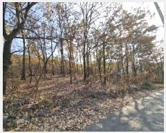  2024Ÿ69338  ֽ ź 81       (Ӿ)