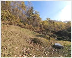  2024Ÿ69338  ֽ ź 81       (Ӿ)