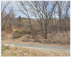  2024Ÿ69338  ֽ ź 81       (Ӿ)