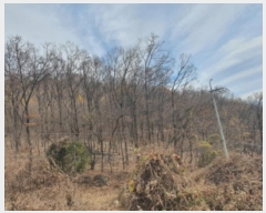  2024Ÿ69338  ֽ ź 81       (Ӿ)