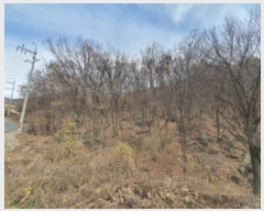  2024Ÿ69338  ֽ ź 81       (Ӿ)