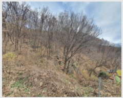  2024Ÿ69338  ֽ ź 81       (Ӿ)