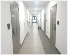  2024Ÿ��69802  ���ǽ��ڰ��