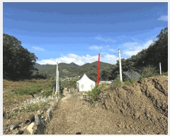  2024Ÿ653   빮 ɸ 162-36      ,繫ǰ